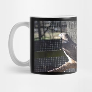 Hawk Mug